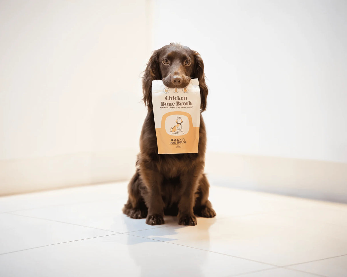 Hackney Dog House Chicken Bone Broth for Dogs
