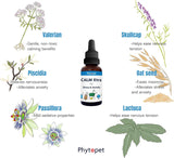 Phytopet Calm Xtra 30ml