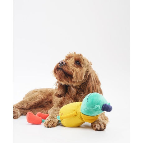 Joules Frog Dog Toy