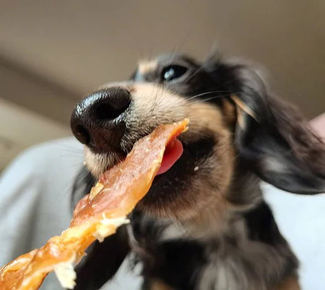 Jr Pet Chicken Breast Jerky - Price Per Gram