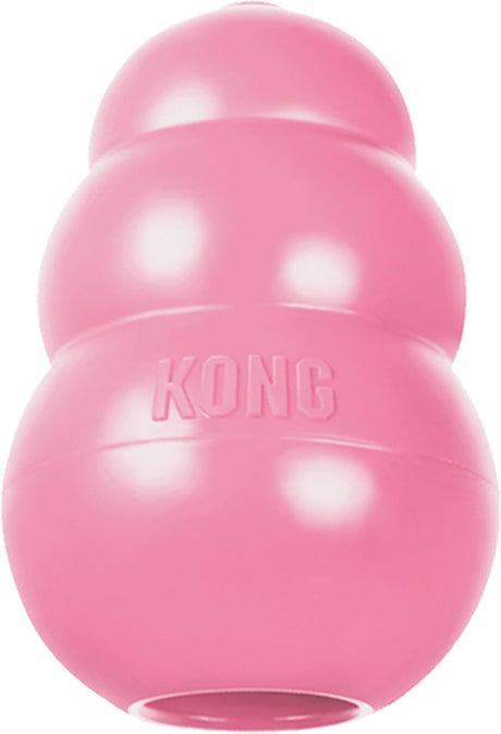 KONG Puppy Assorted Colours