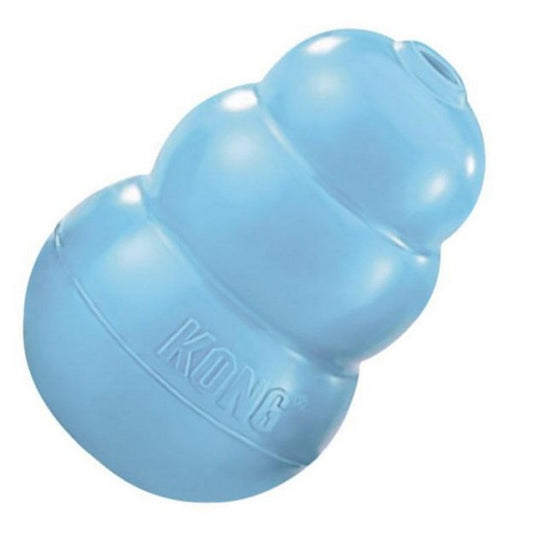 KONG Puppy Assorted Colours