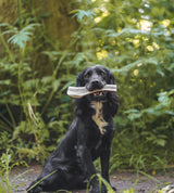 Anco Antler Easy Dog Chew