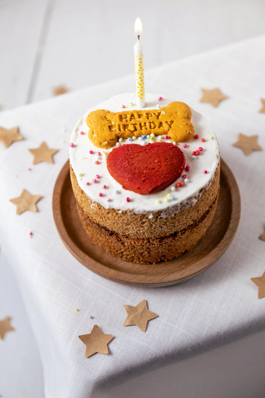 Life of Riley Dog Birthday Cake