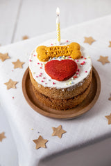 Life of Riley Dog Birthday Cake