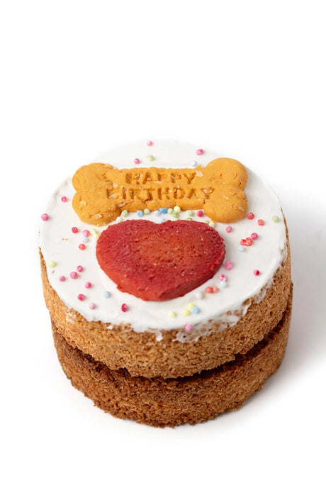 Life of Riley Dog Birthday Cake