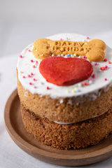 Life of Riley Dog Birthday Cake