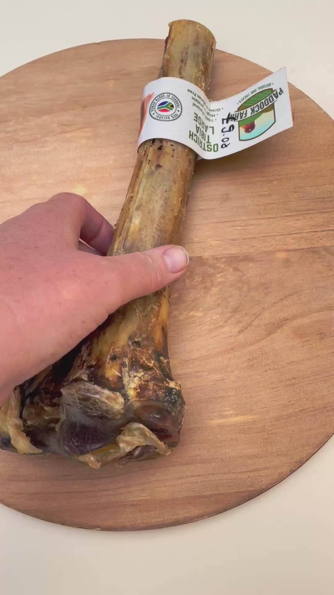 Ostrich Large Tibia Bone Dog Chew
