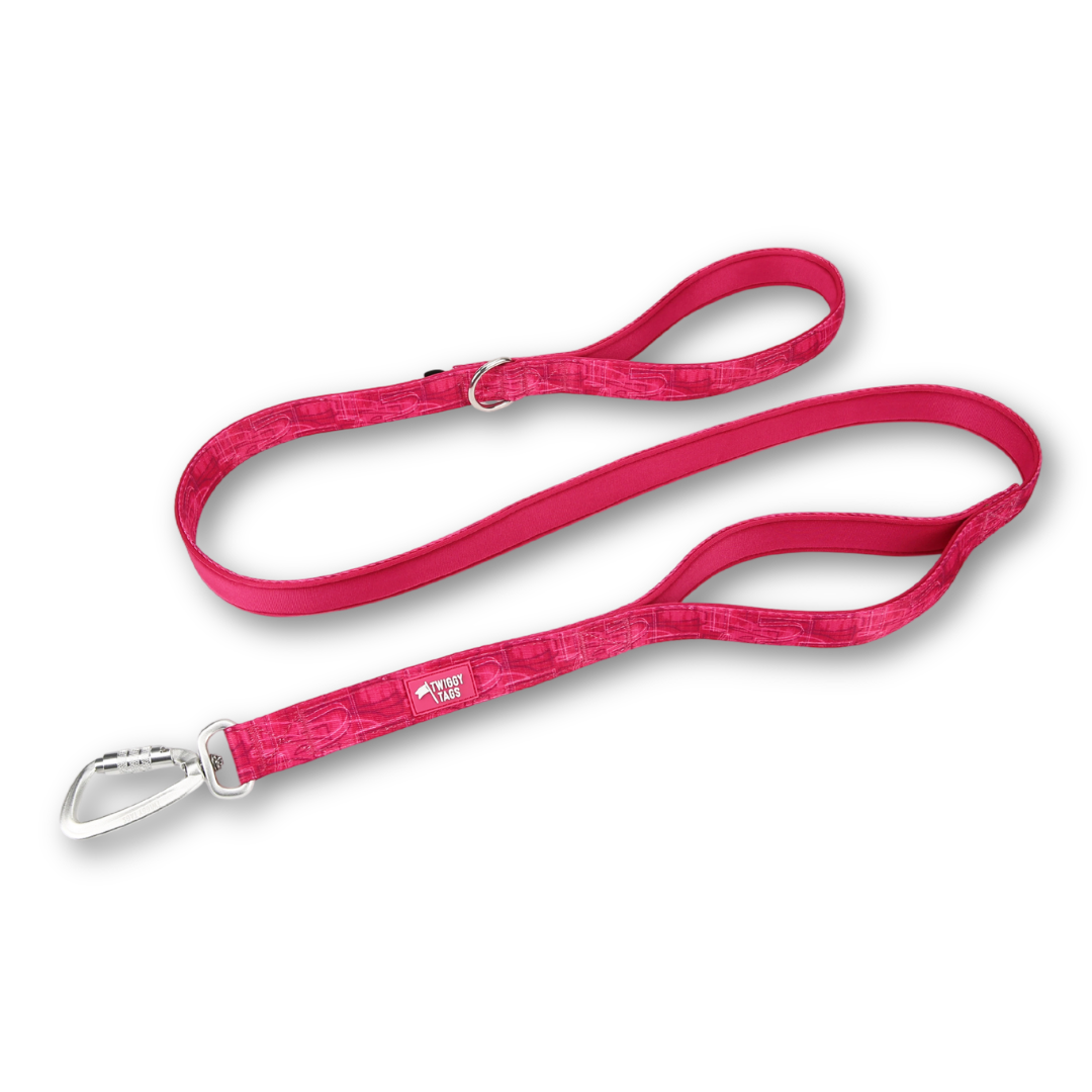 Pink dog leash with a silver clasp on a white background