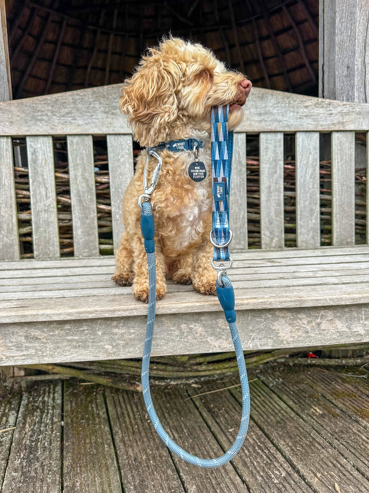 Twiggy Tags Comfort Collar