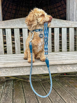 Twiggy Tags Comfort Collar