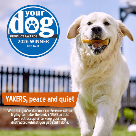 Yakers Yak Dog Chew Medium