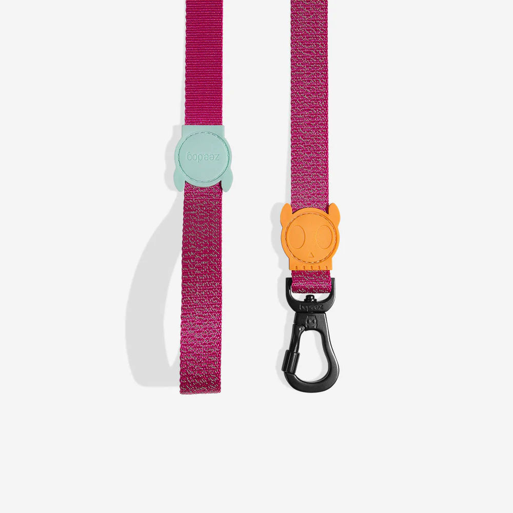 Zeedog Classic Dog Lead NOX Sidus