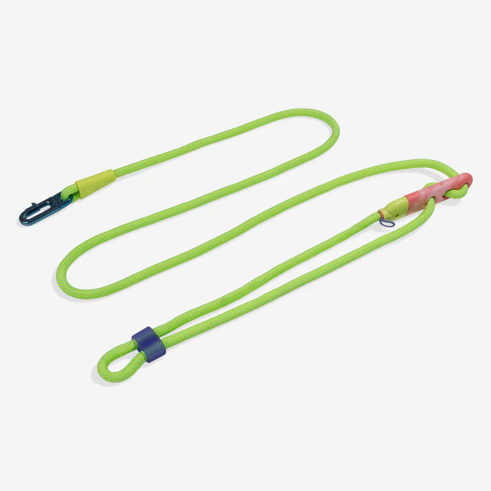 Zeedog Hands-Free Leash Glo