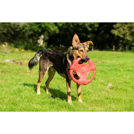 Gigwi TPR Bone Flying Tug