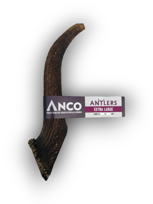 Anco Antler