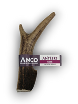 Anco Antler