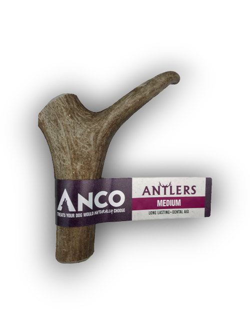 Anco Antler